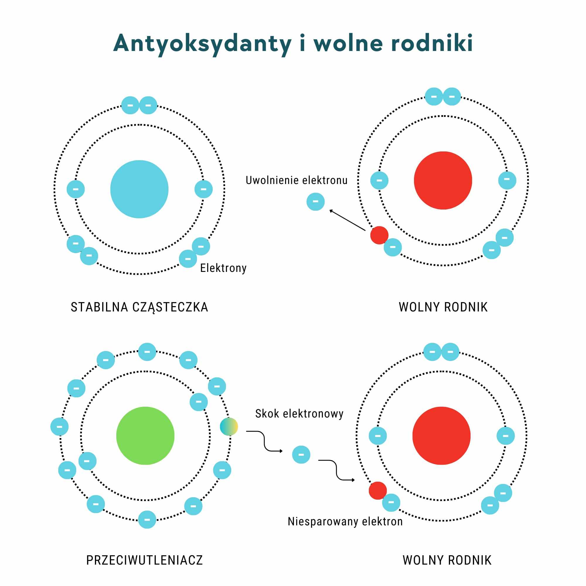 antyoksydanty i wolne rodniki